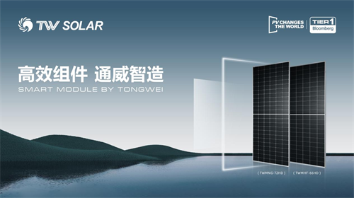 圖片3.png 圖片3.png